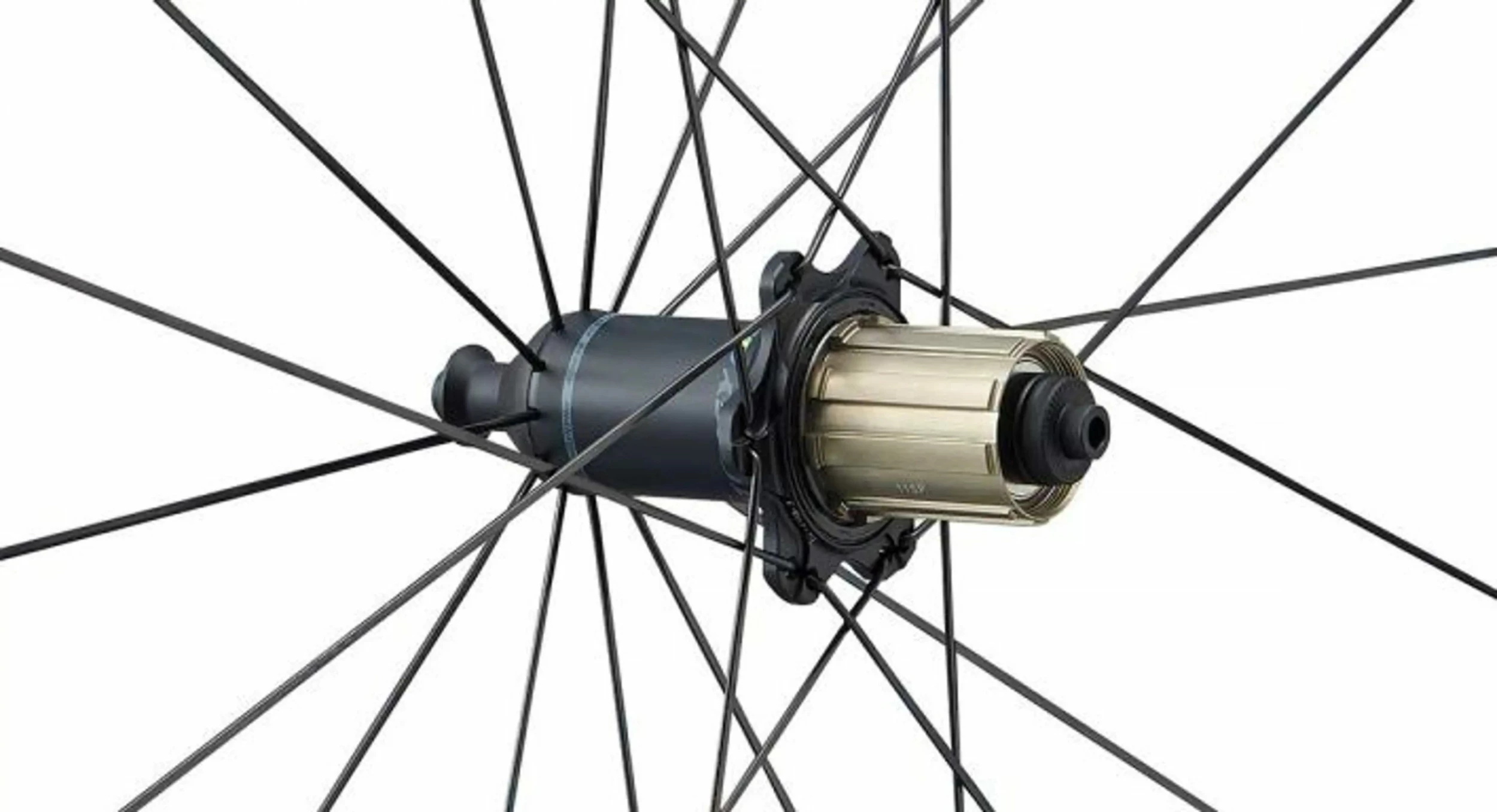 Paire De Roues Route Carbone Ritchey WCS Apex 38 – Image 4