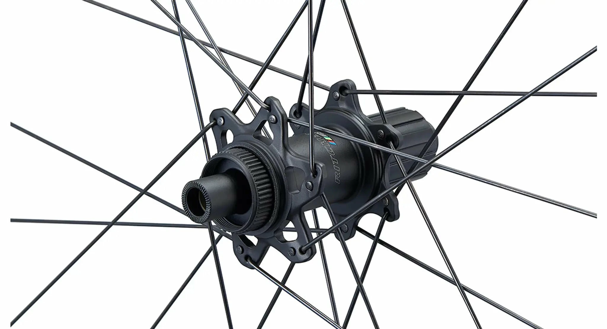 Paire De Roues Ritchey WCS Zeta Disc TA12 – Image 4